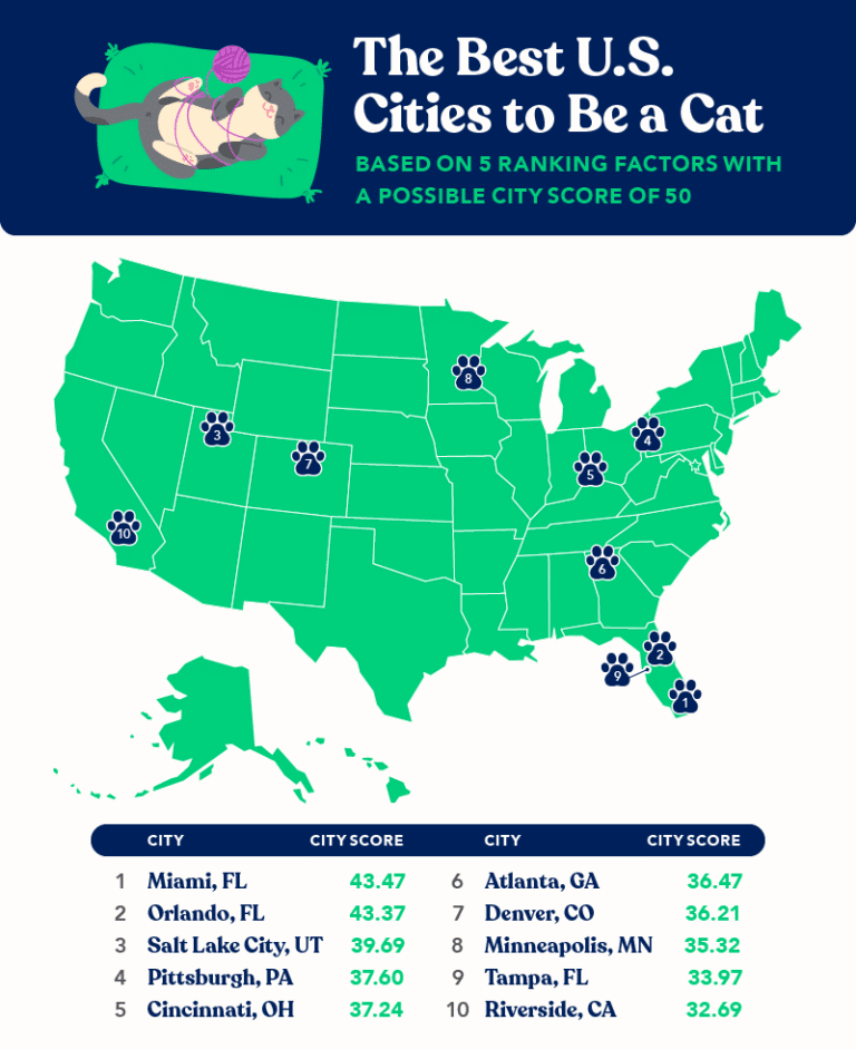 What’s the Most Cat-Friendly US City?