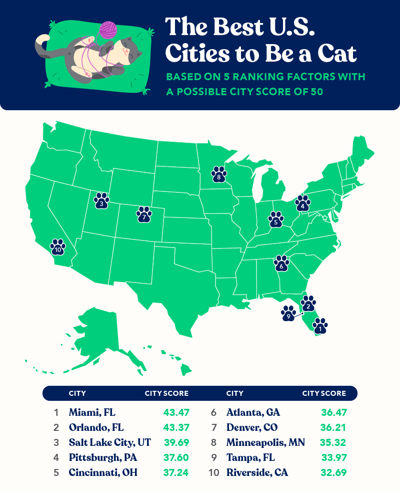 US cities with most veterinarians, cat cafes, cat friendly rentals and cat adoptions