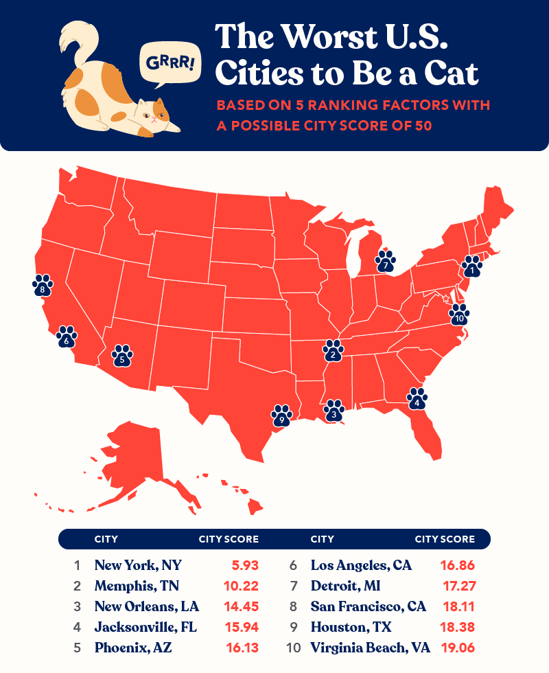 US cities with fewest cat adoptions, cat cafes and cat friendly apartment rentals
