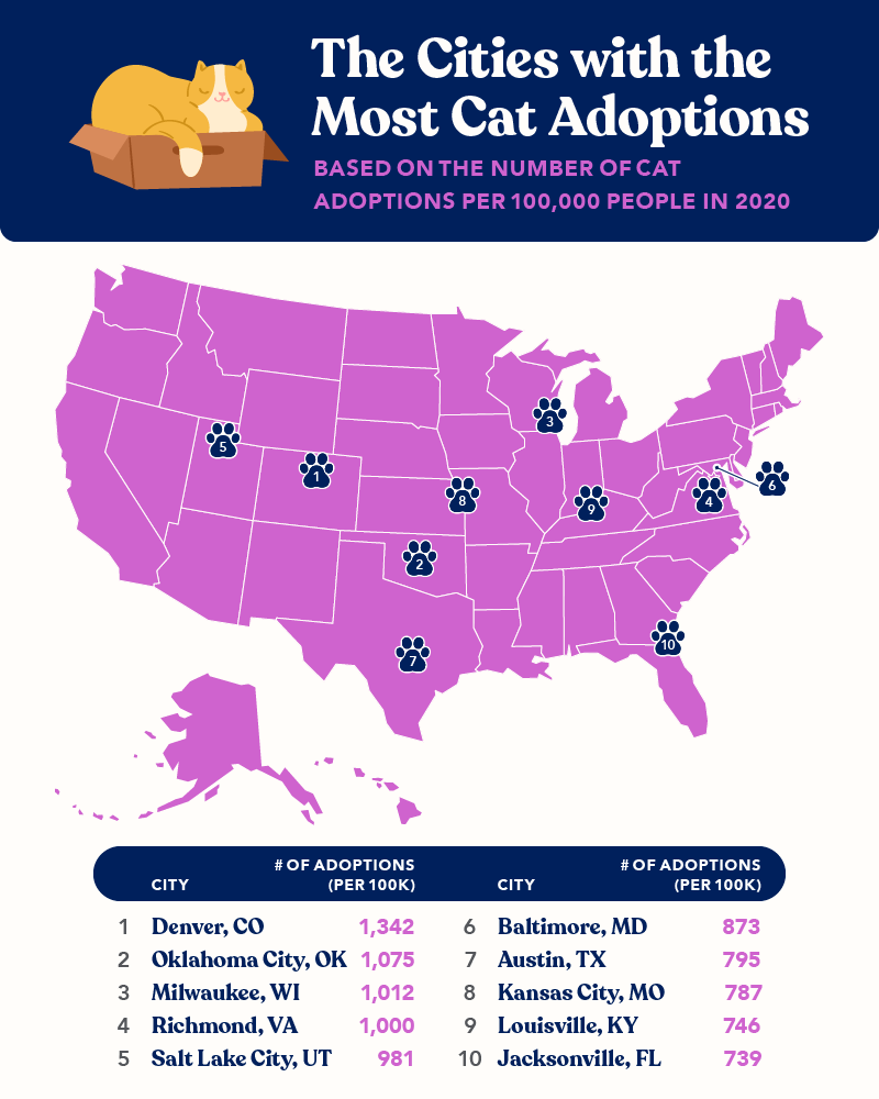 US cities with most cat adoptions