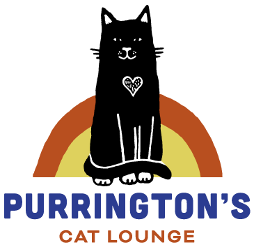 Purringtons cat lounge - cat cafe in Portland Oregon