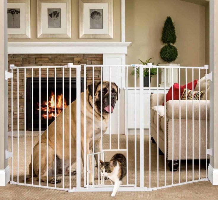 dog gate to prevent dog from reaching cat litter box