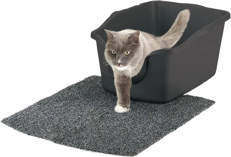 high sided litterbox 