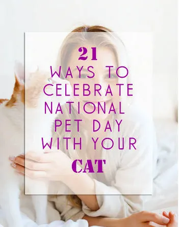 21 ways to celebrate national pet day with your cat