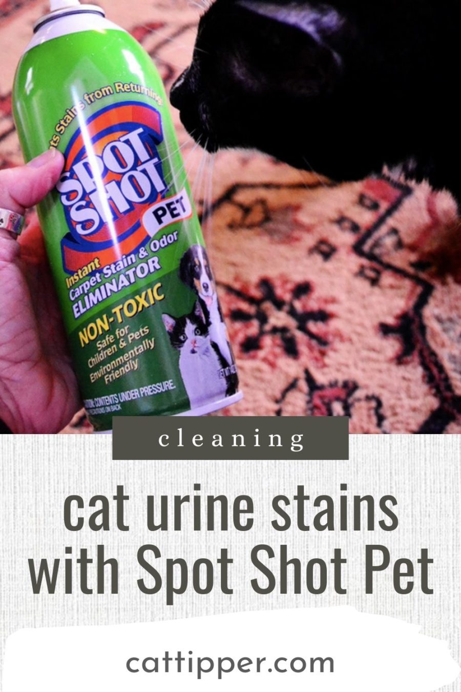 cleaning cat pee and cat vomit with Spot Shot Pet
