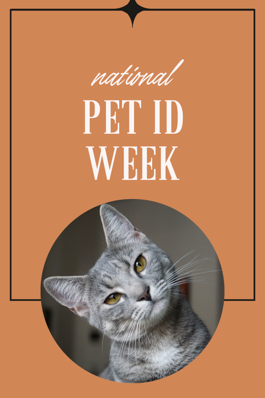 National Pet ID Week