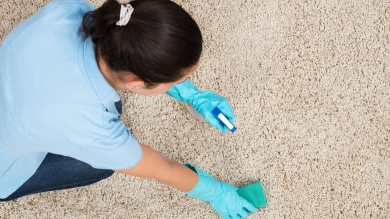 woman cleaning pet stains on carpet