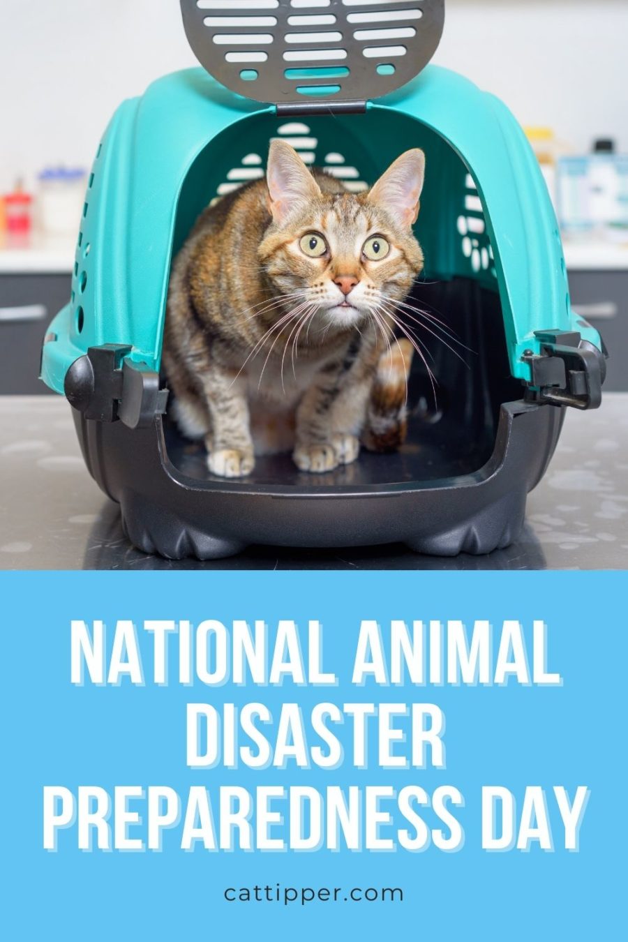 National Animal Disaster Preparedness Day