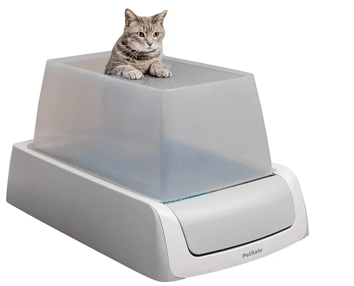 top entry petsafe scoopfree self cleaning litter box