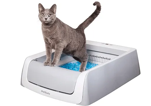 uncovered petsafe scoopfree automatic litter box for cats