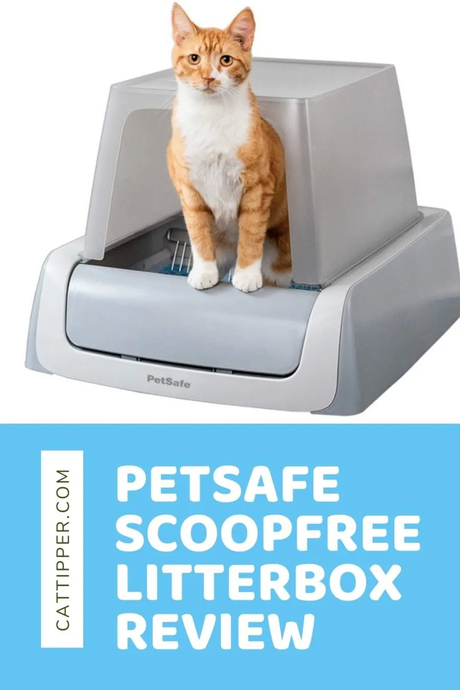 PetSafe ScoopFree Litterbox review--automatic, self-cleaning litter box for cats