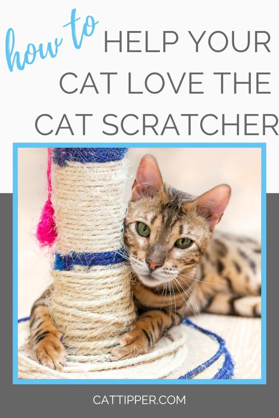 how to help your cat love the cat scratcher!