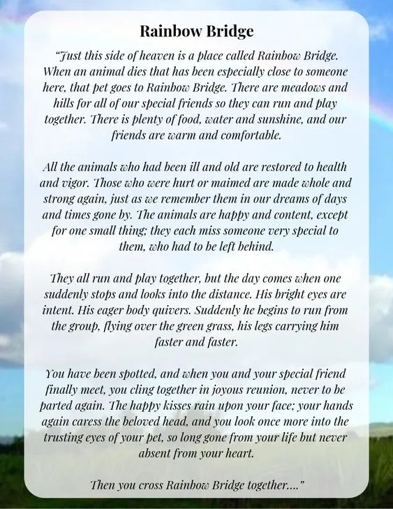 Rainbow Bridge poem