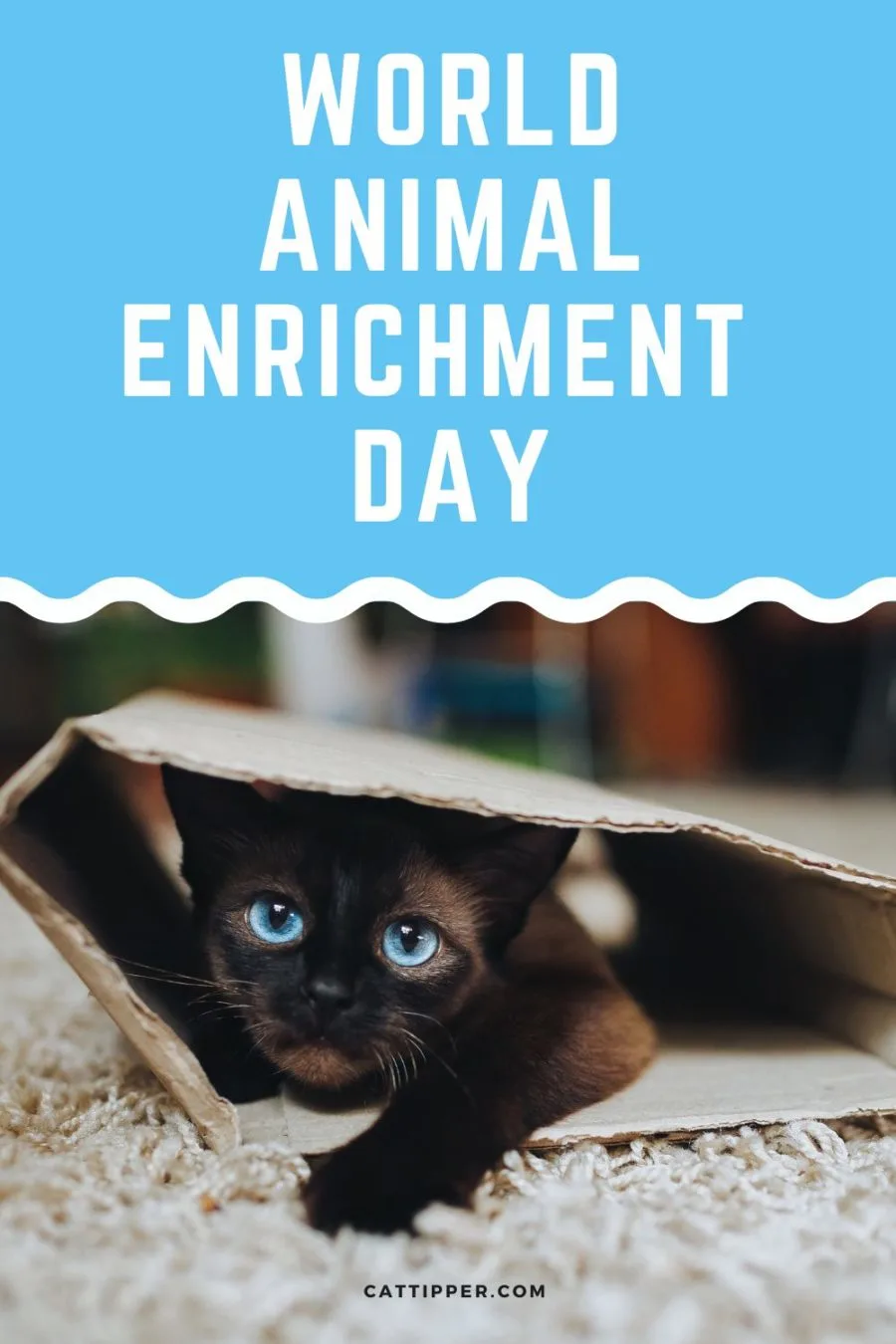 World Animal Enrichment Day