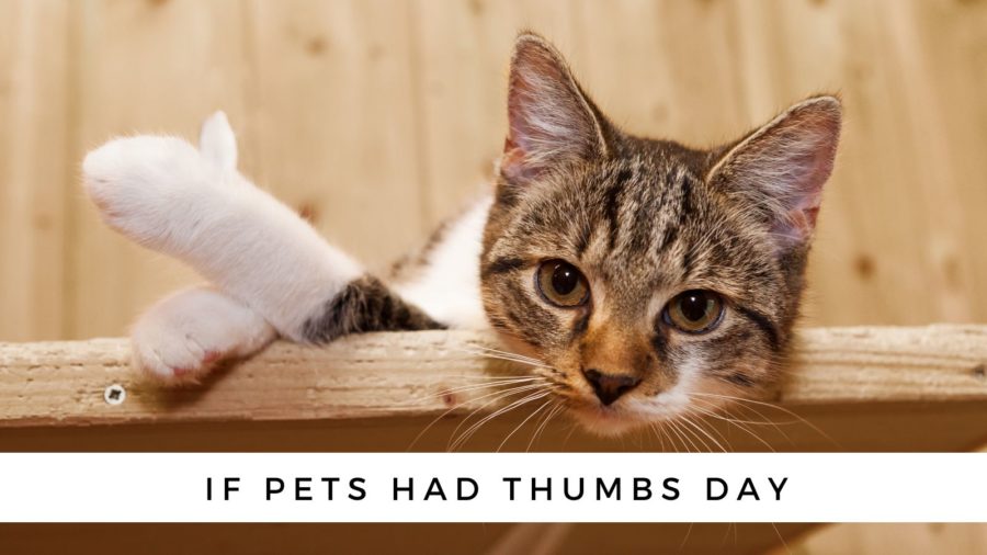 If Pets Had Thumbs Day