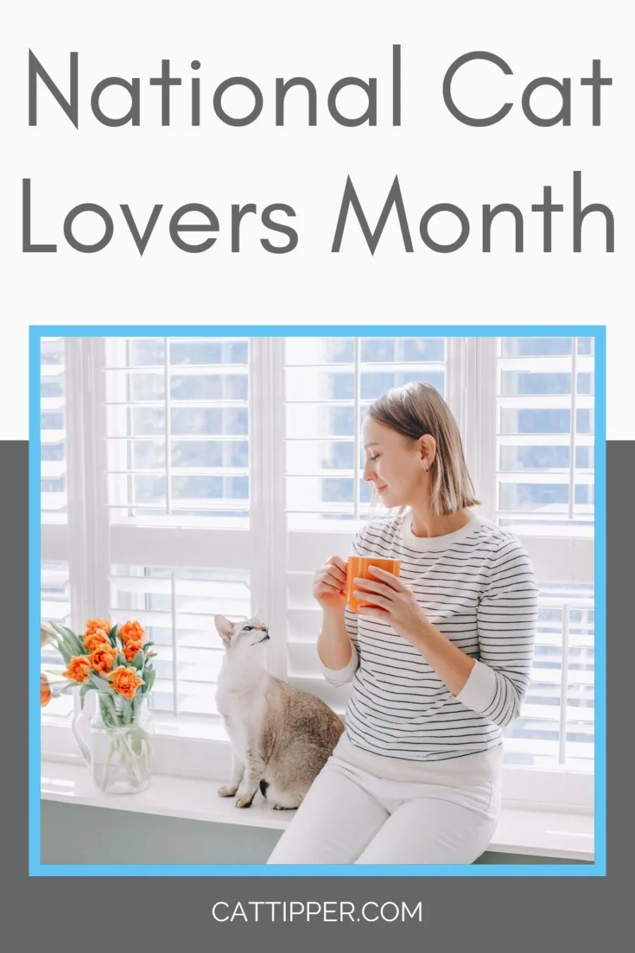 National Cat Lovers Month