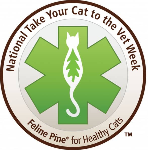 National Take Your Cat to the Vet Week