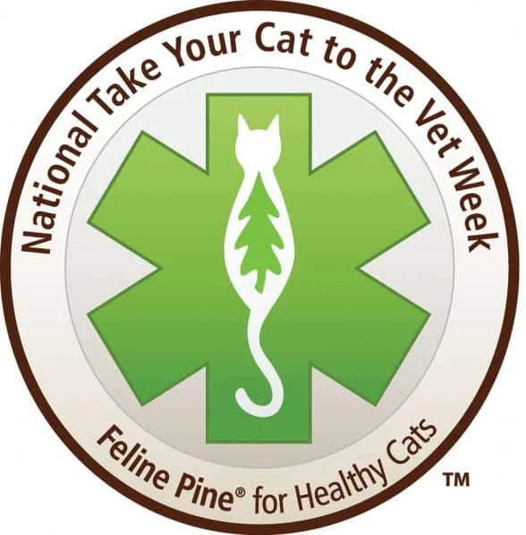 National Take Your Cat to the Vet Week