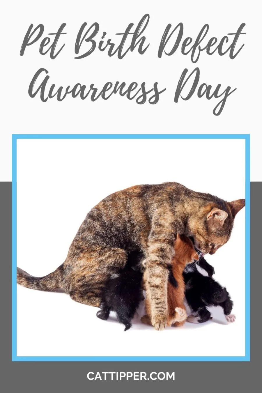 Pet Birth Defect Awareness Day