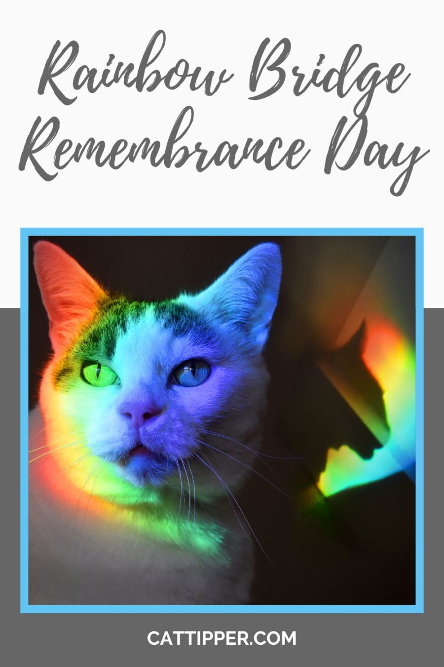 Rainbow Bridge Remembrance Day