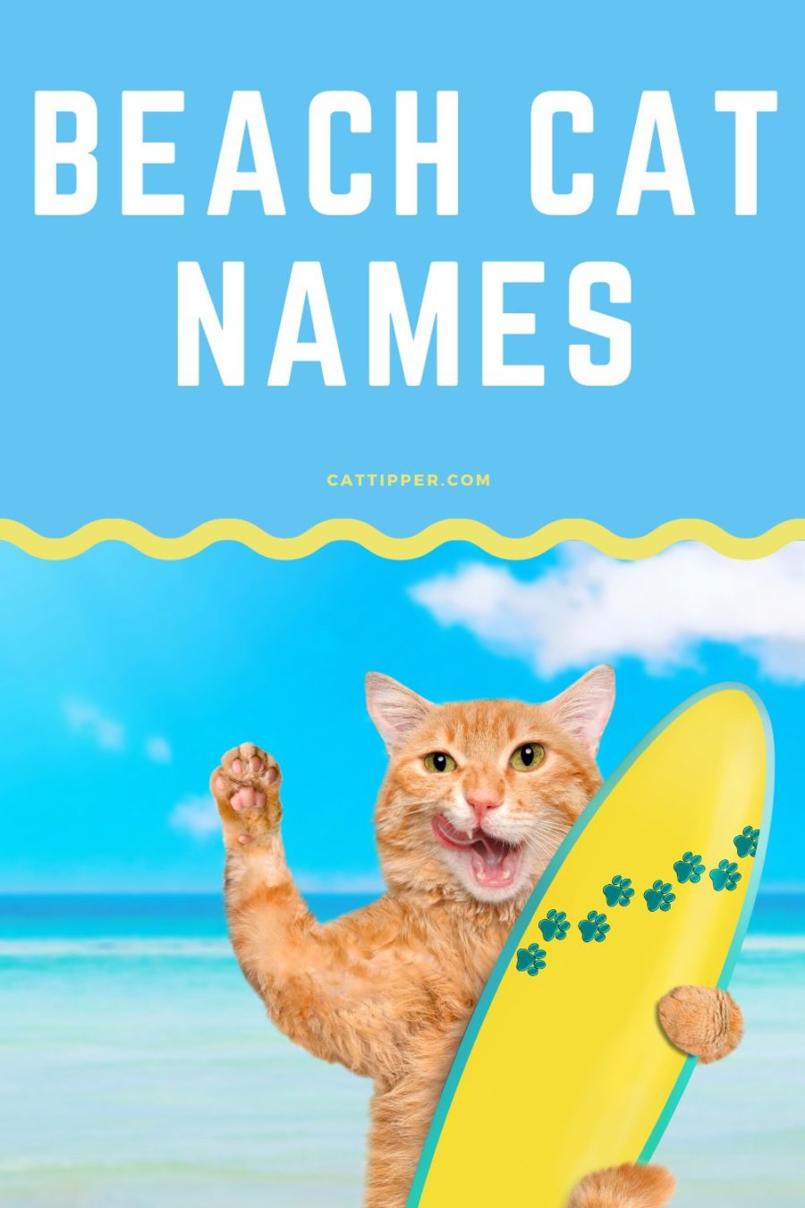 beach names for your newly adopted kitten or cat