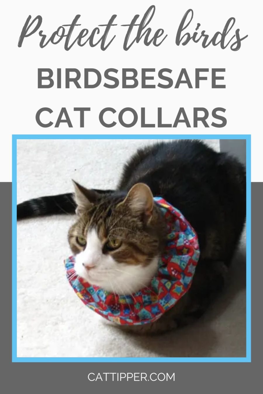 Birdsbesafe Cat Collars - made to help protect birds from outdoor cats