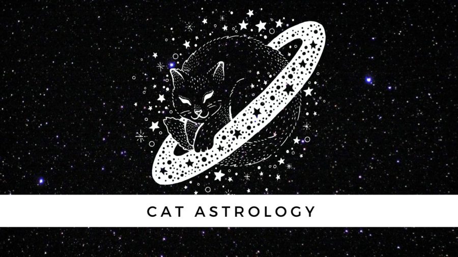 Cat Astrology