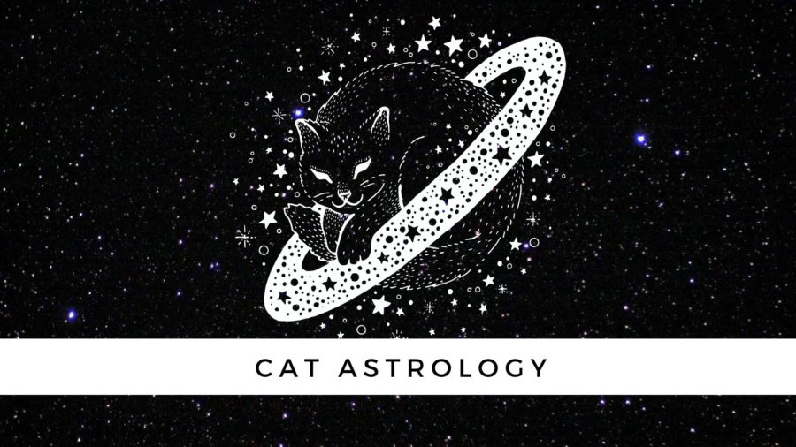 Cat Astrology