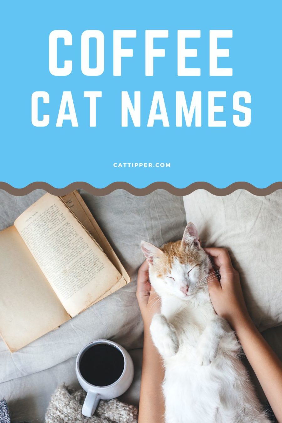 Coffee Names for Cats