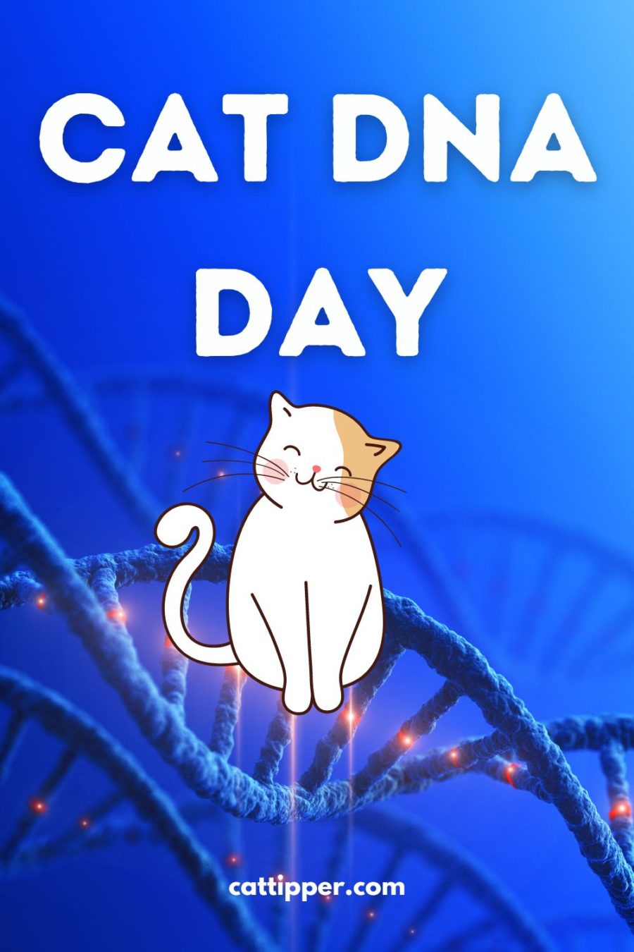 are you curious about your cat's DNA? Cat DNA Day