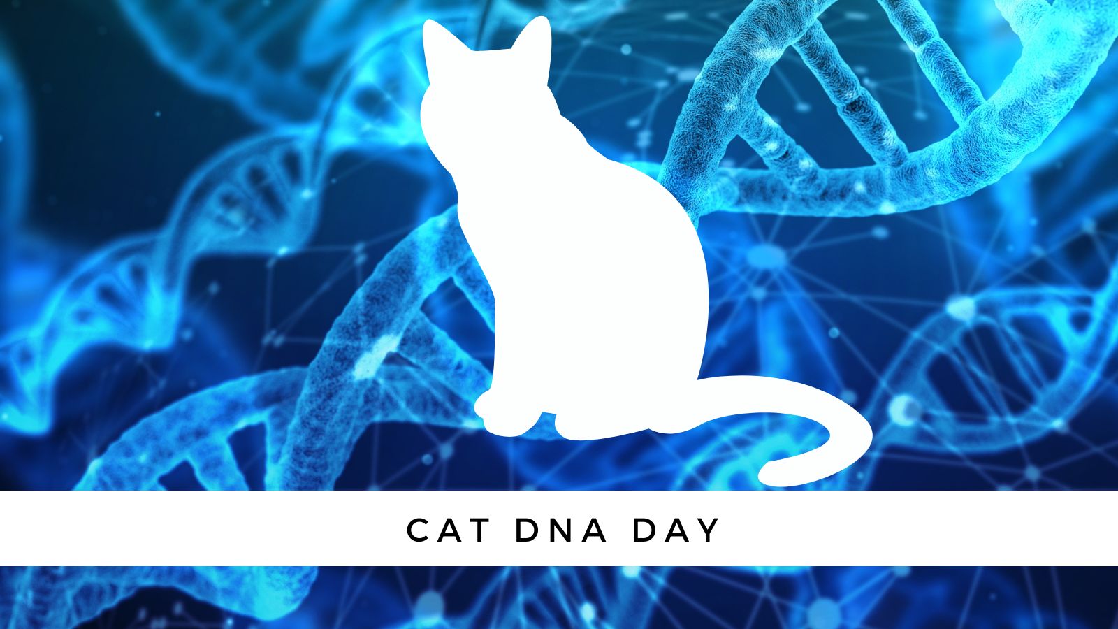 Cat DNA Day What Could Your Cat s DNA Tell You CatTipper Cat Blog Cat DNA Day What Could Your Cat s DNA Tell You CatTipper Cat Blog