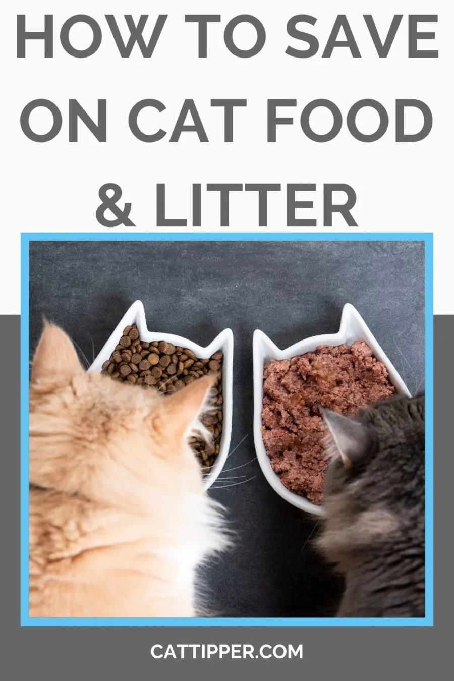 How to Save Money on Cat Food, Cat Litter