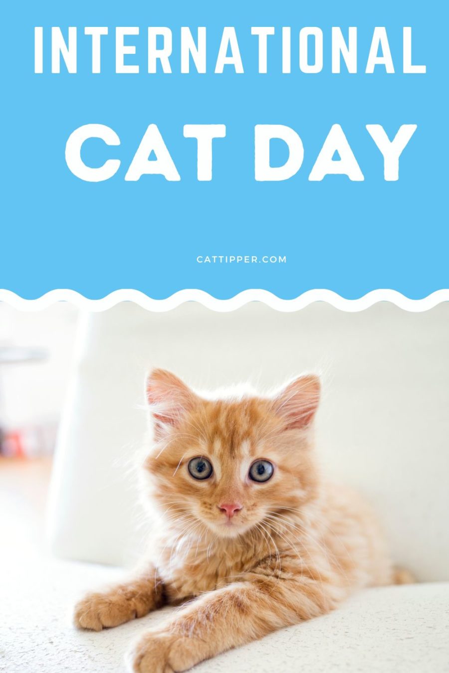 International Cat Day - August 8