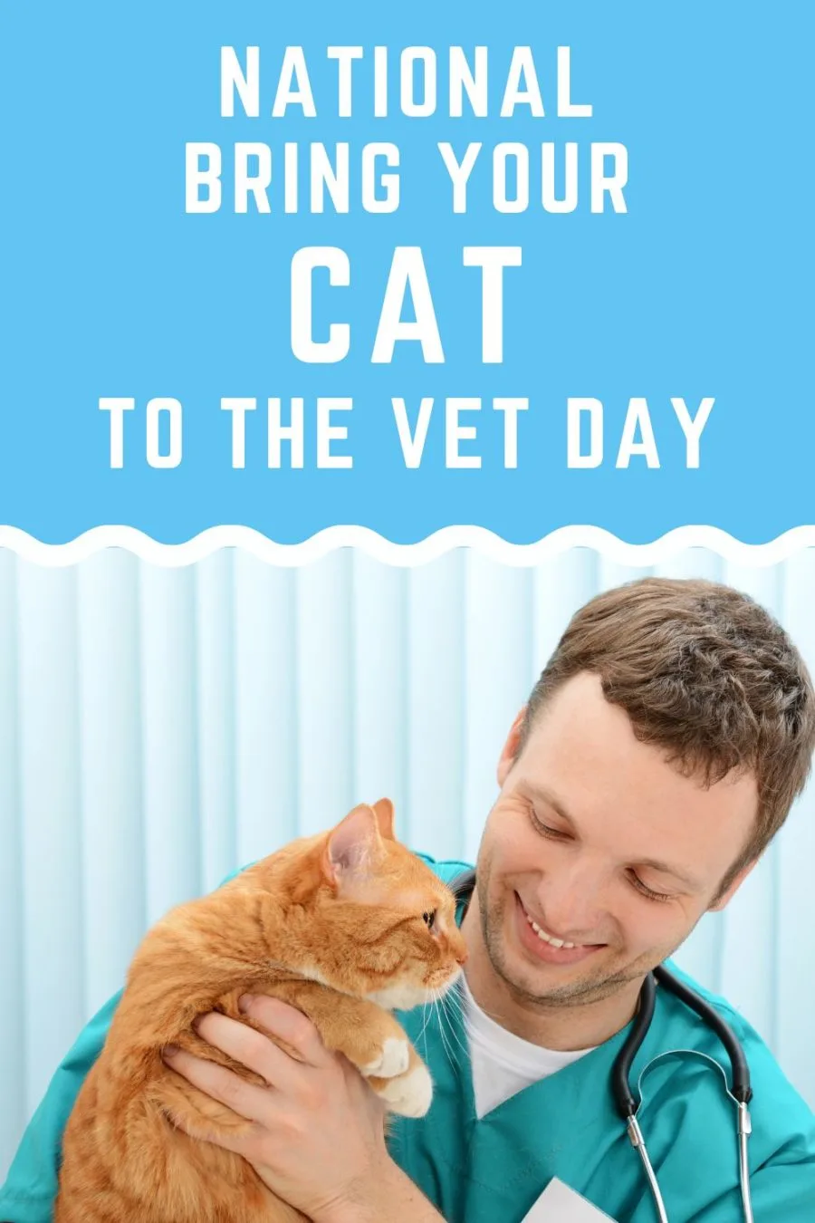 National Bring Your Cat to the Vet Day
