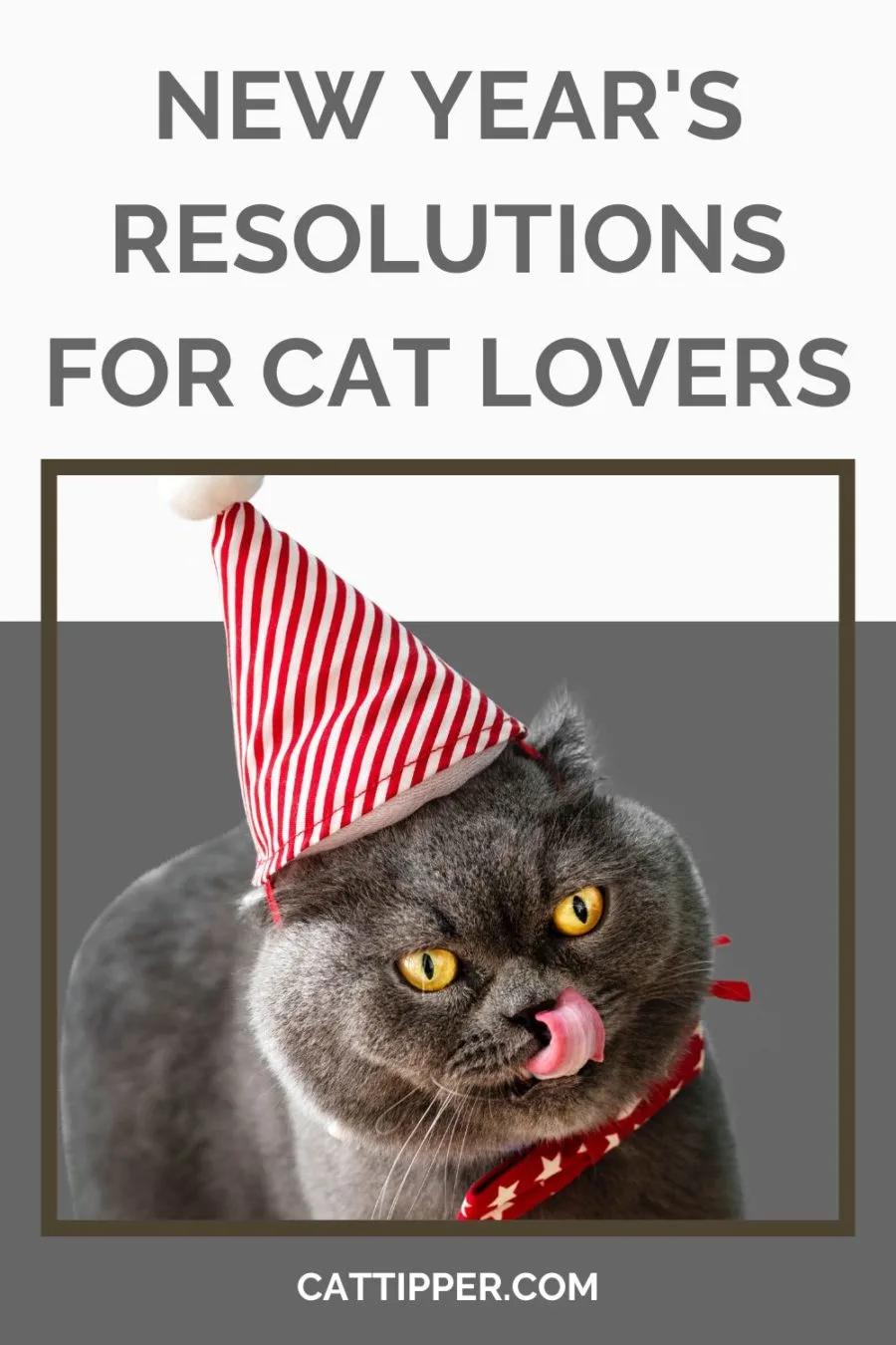 new year's resolutions for cat lovers
