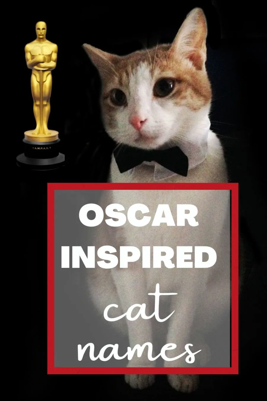 Oscar Winning Cat Names