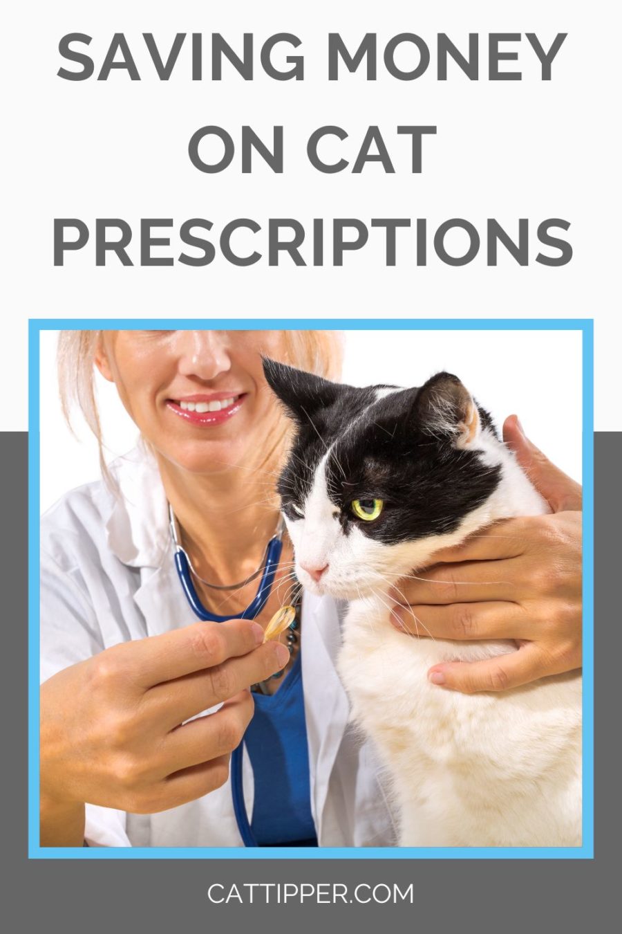 saving money on cat prescriptions