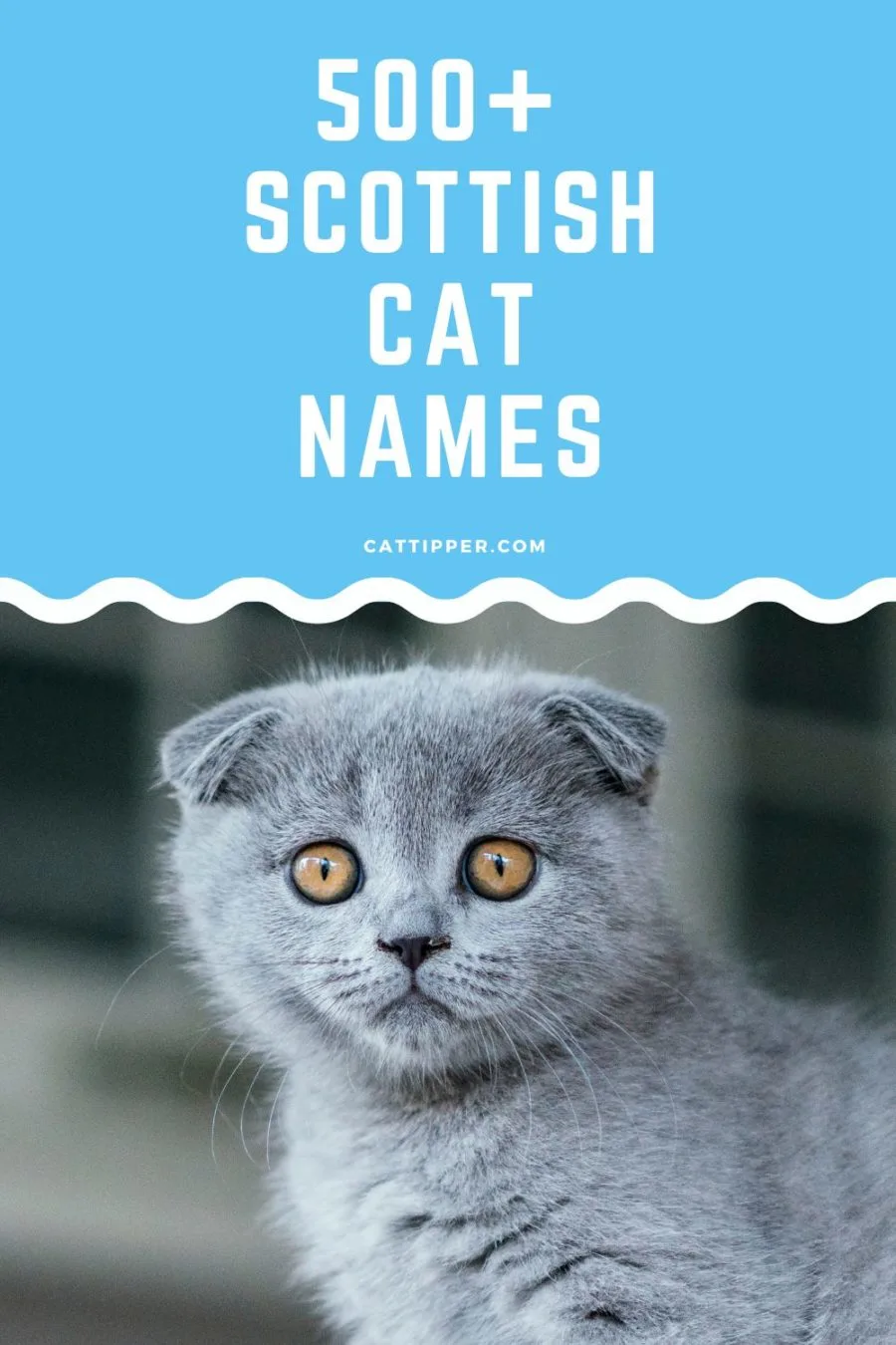 Scottish Cat names including Scottish and Gaelic words 