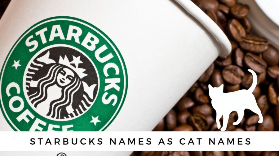 Starbucks Words that Make Cute Names