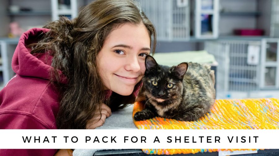 what to pack for a shelter visit