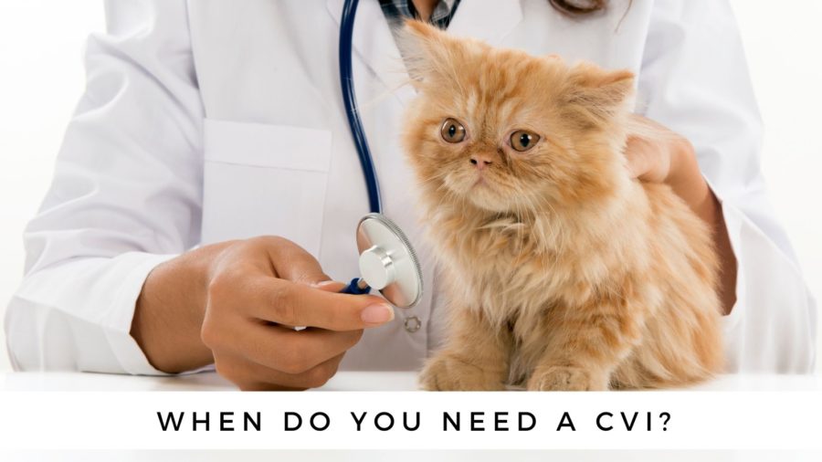 certificate of veterinary inspection or CVI