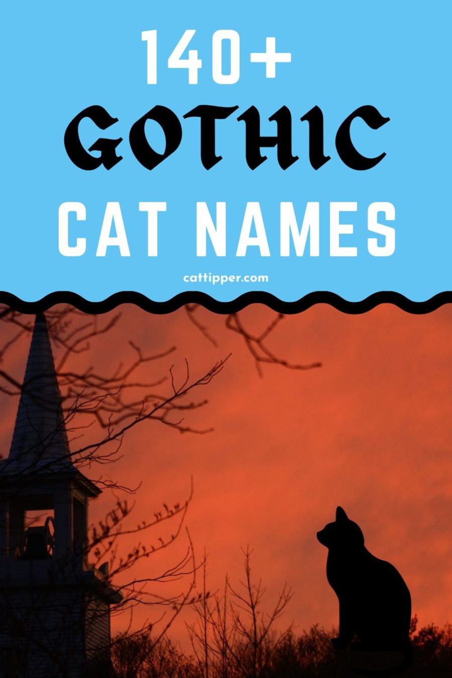140+ Gothic Cat Names