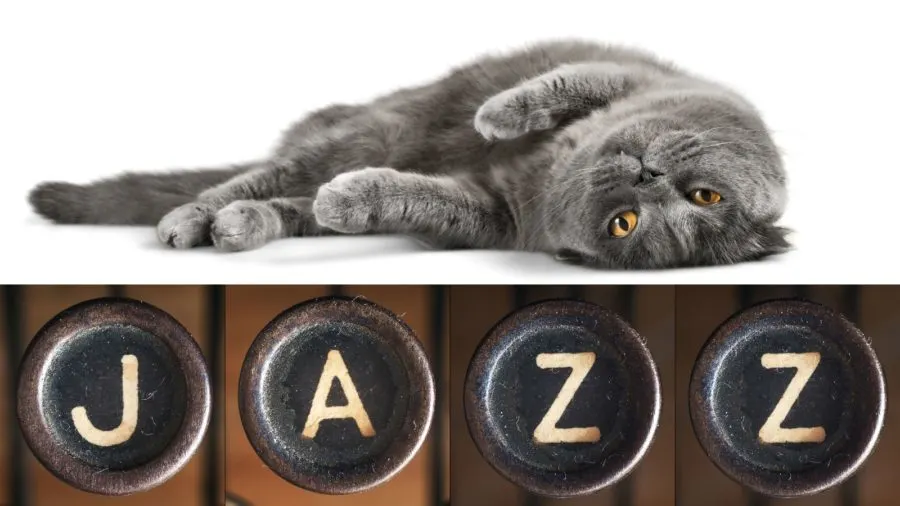 Jazz Names for Cats