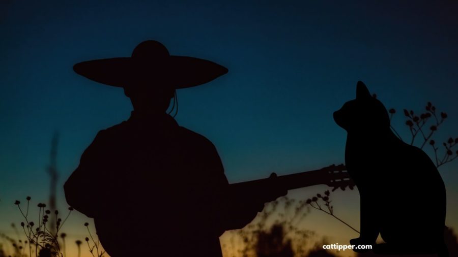 Mexican Music Styles that Make Cool Cat Names