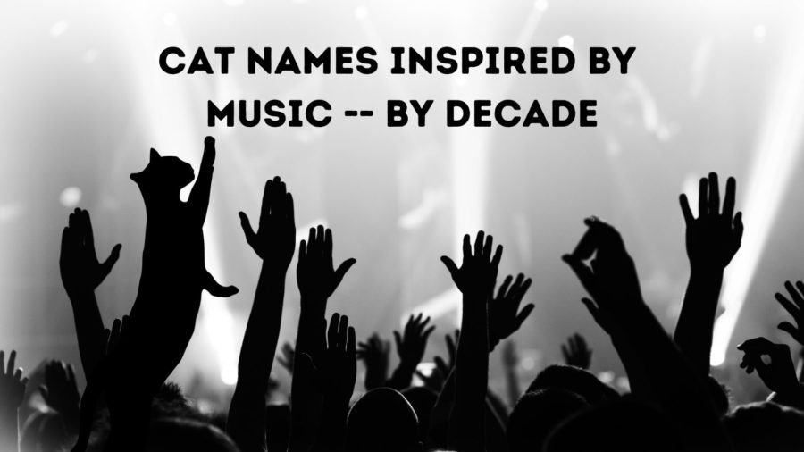 Cat Names Inspired by Music--by the decade (male and female names)