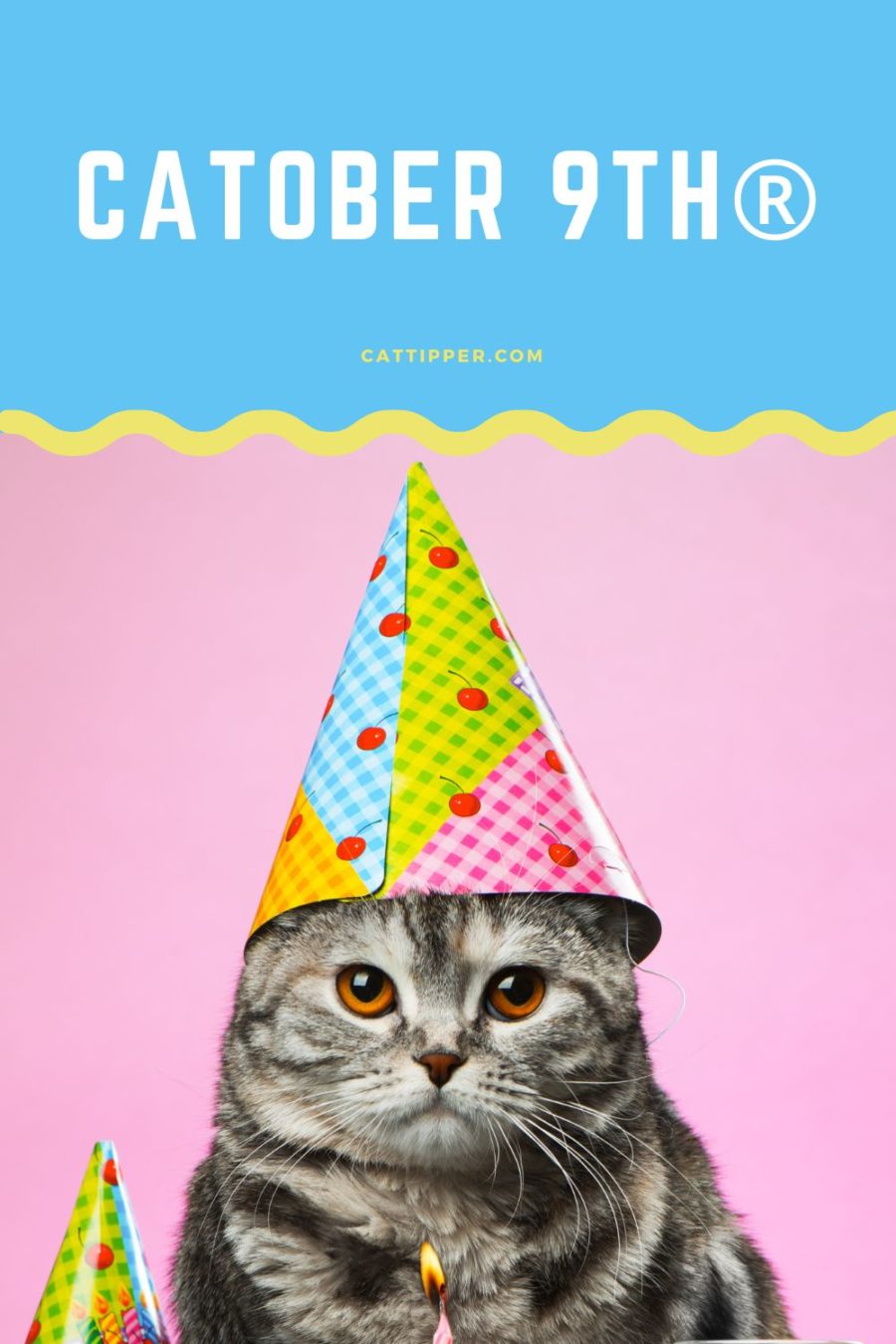 CATober - the universal birthday of shelter cats and cats whose birthday is unknown!