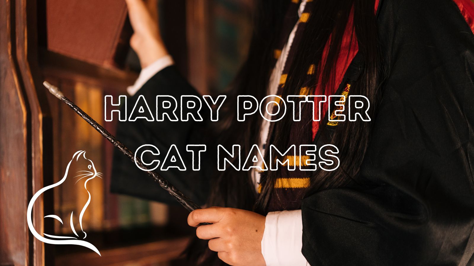 What do you call a female cat cattipper