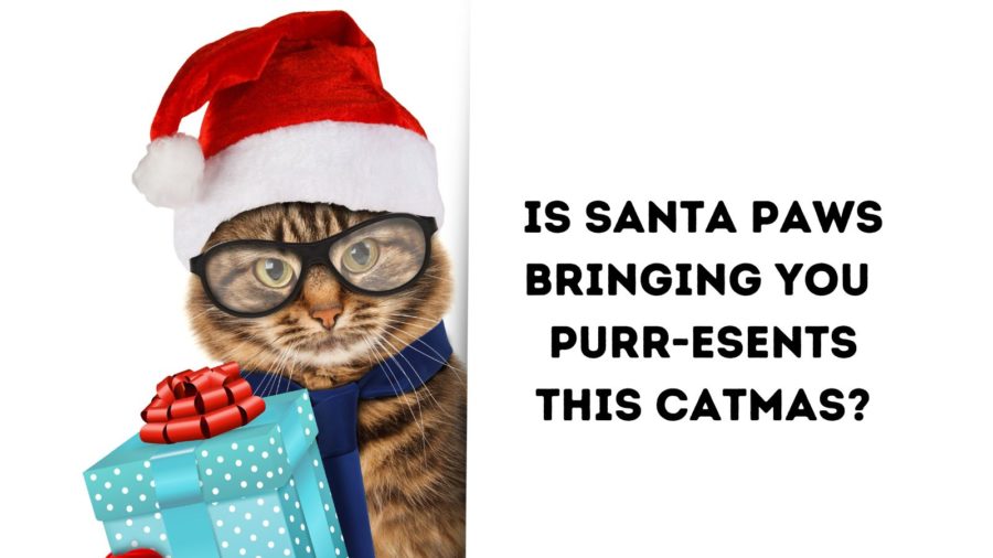 holiday cat puns