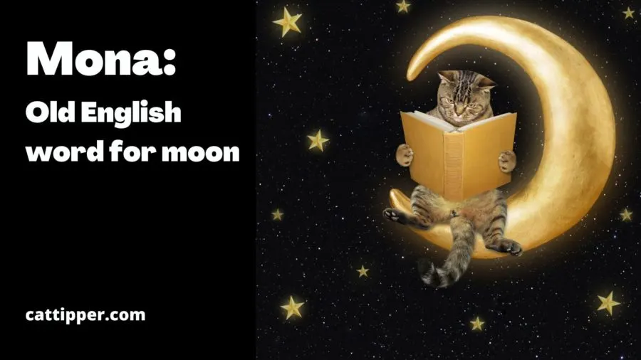 Mona: Old English word for moon