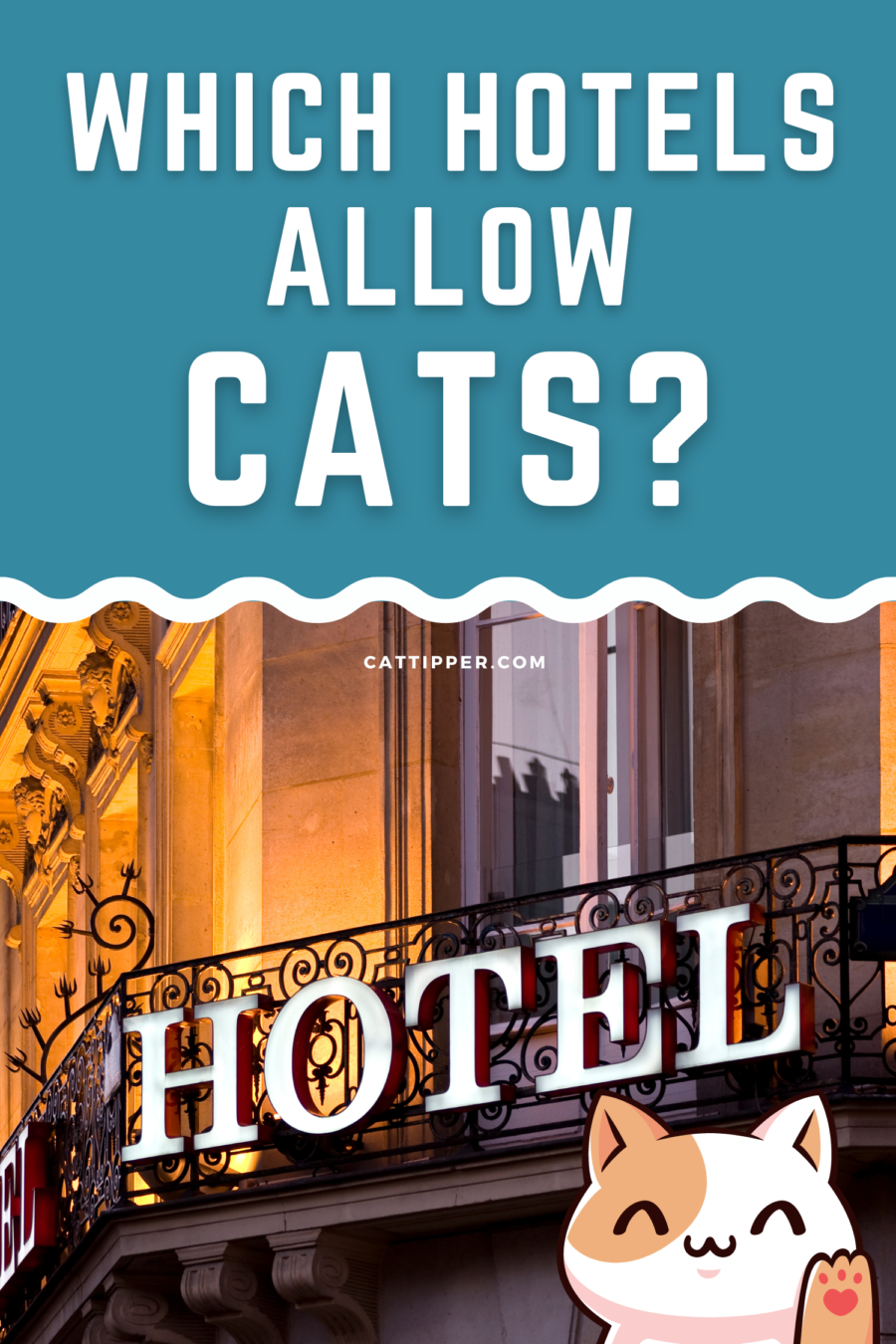 Hotels That Allow Cats {+ the MOST Cat Friendly Hotel Chains}